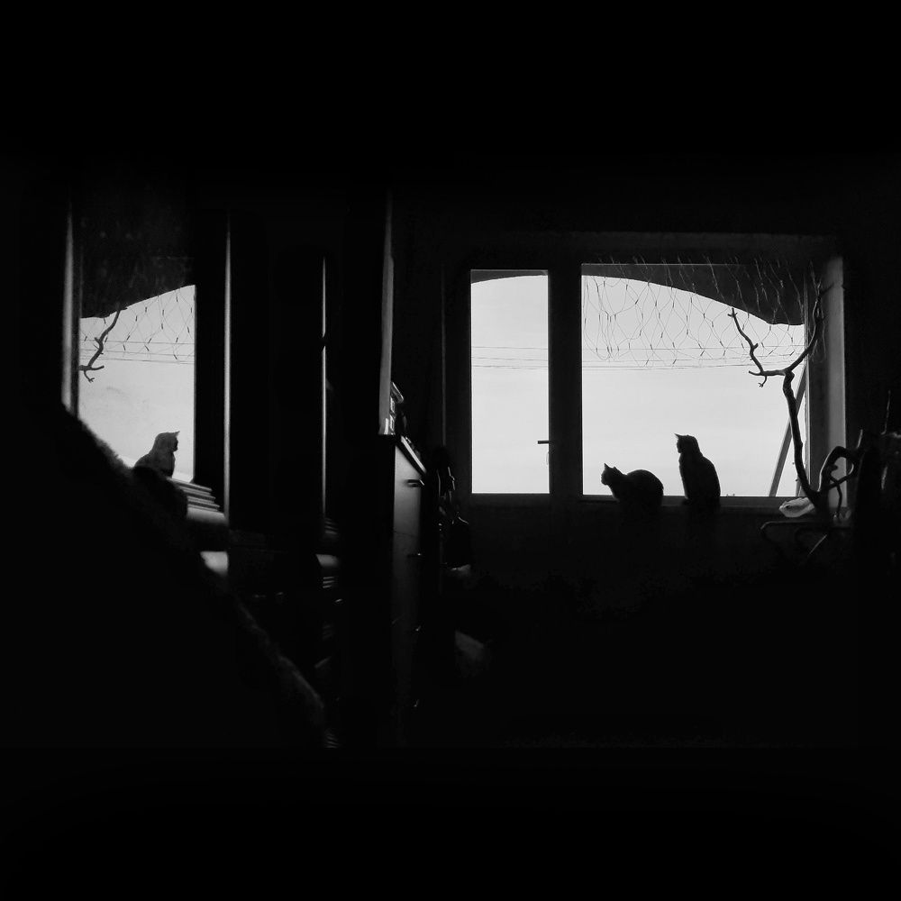 Reflection of reality