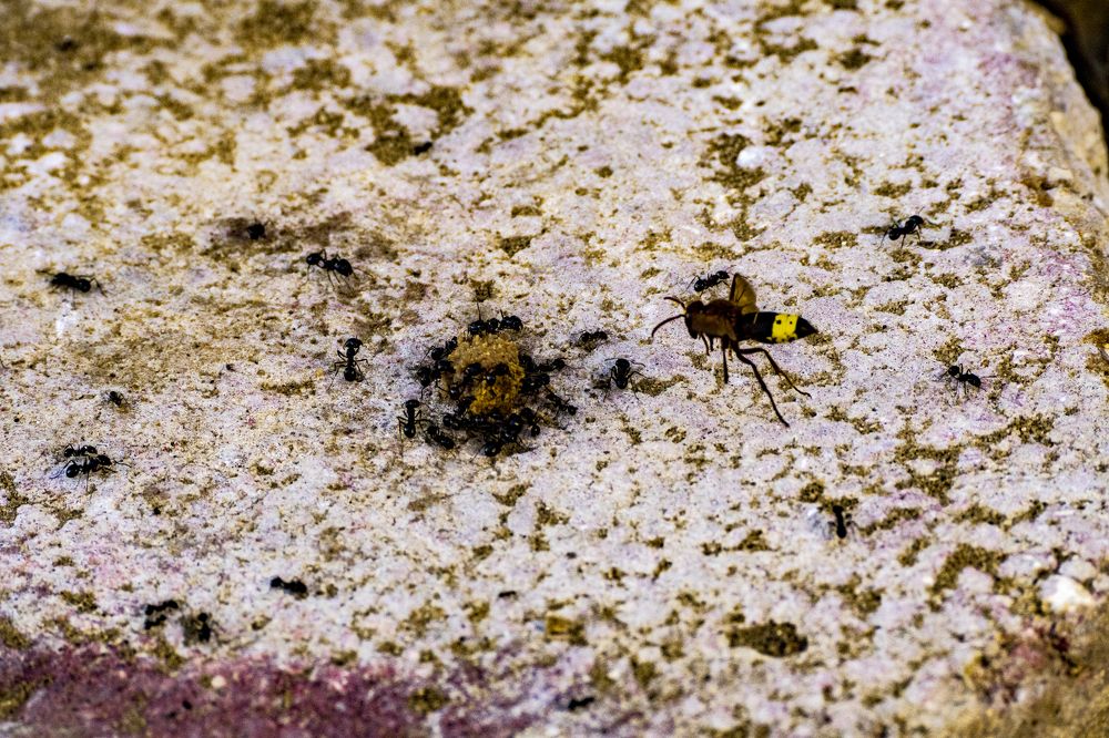 Photograph by Байтальский Андрей