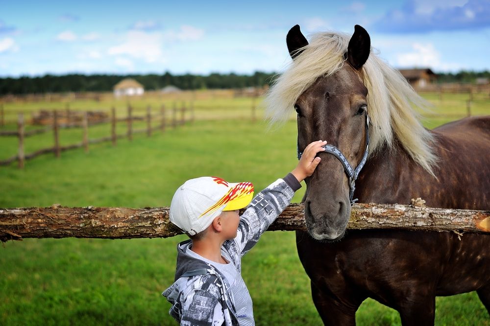 Фотография автора Роман Володащик