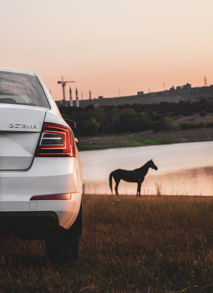 Photograph by Александр Шинкаревский