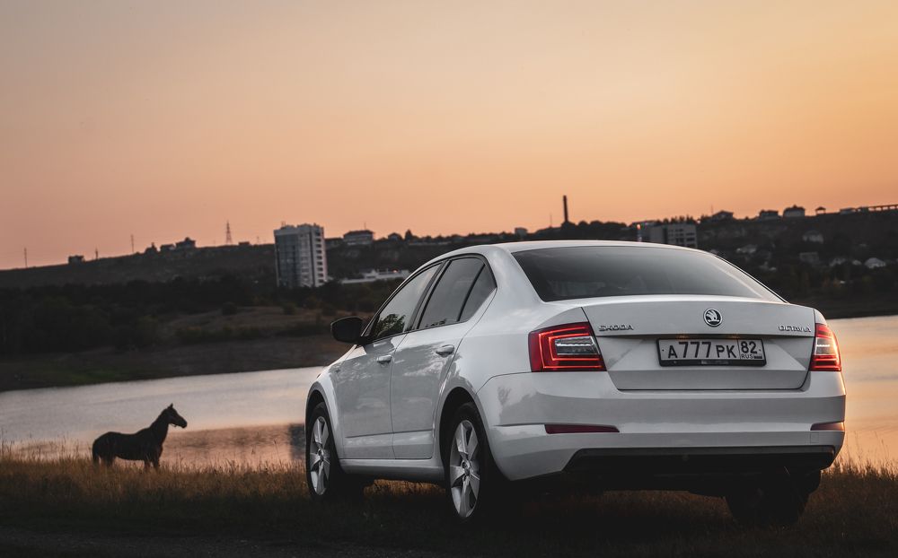 Photograph by Александр Шинкаревский