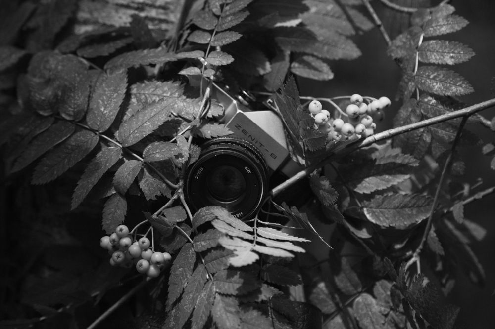 Стоп-кадр...!)