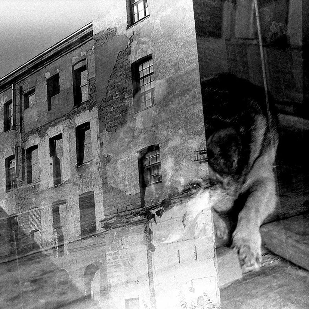 Photograph by Igor Višnjakov