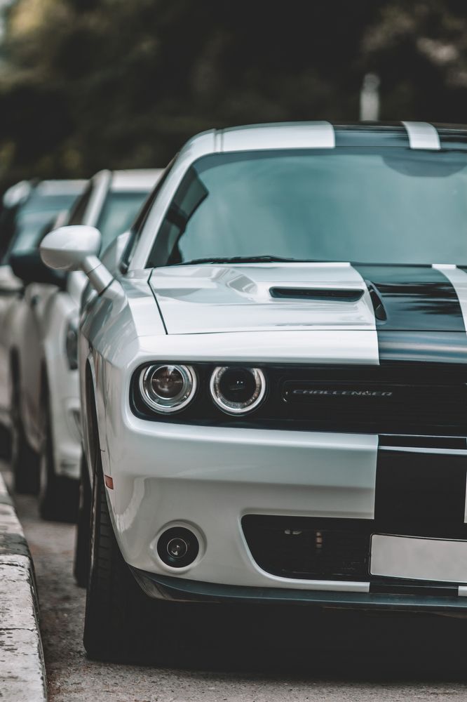 Photograph by Павел Дженбаз