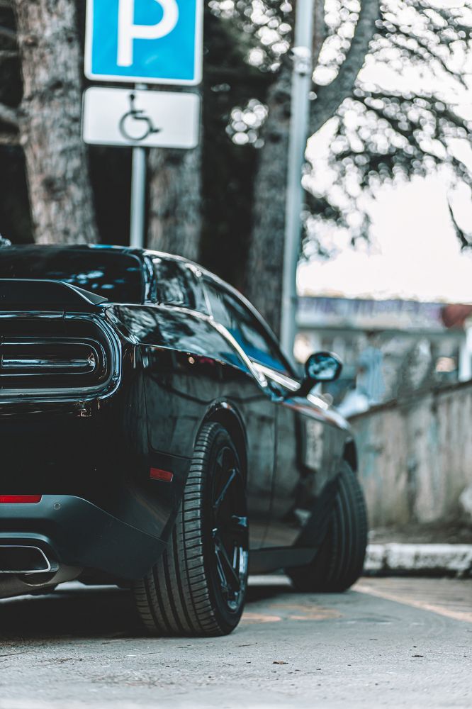 Photograph by Павел Дженбаз