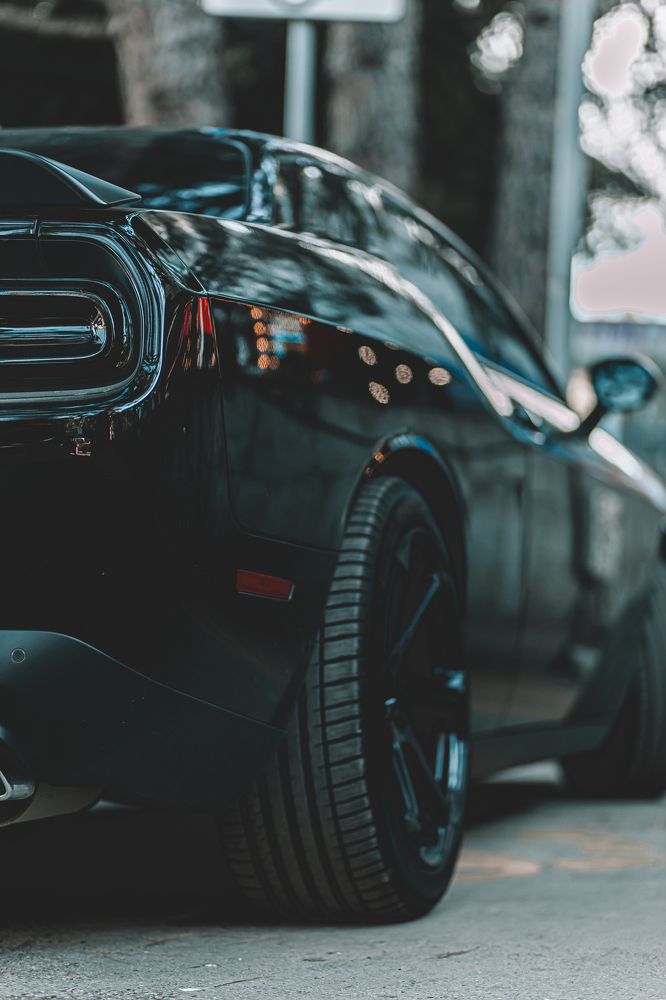 Photograph by Павел Дженбаз