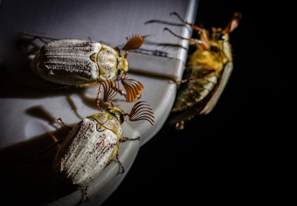 Photograph by Анна