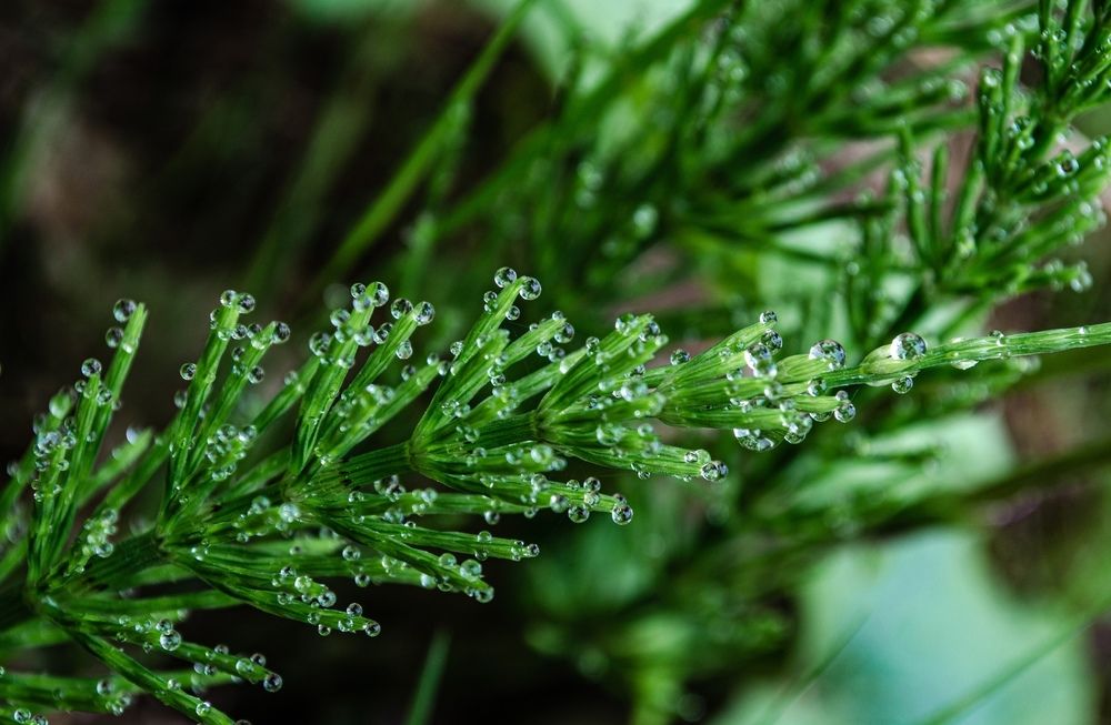 Photograph by Анна