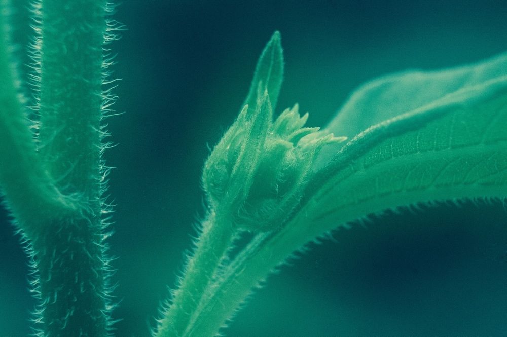 Photograph by Анна