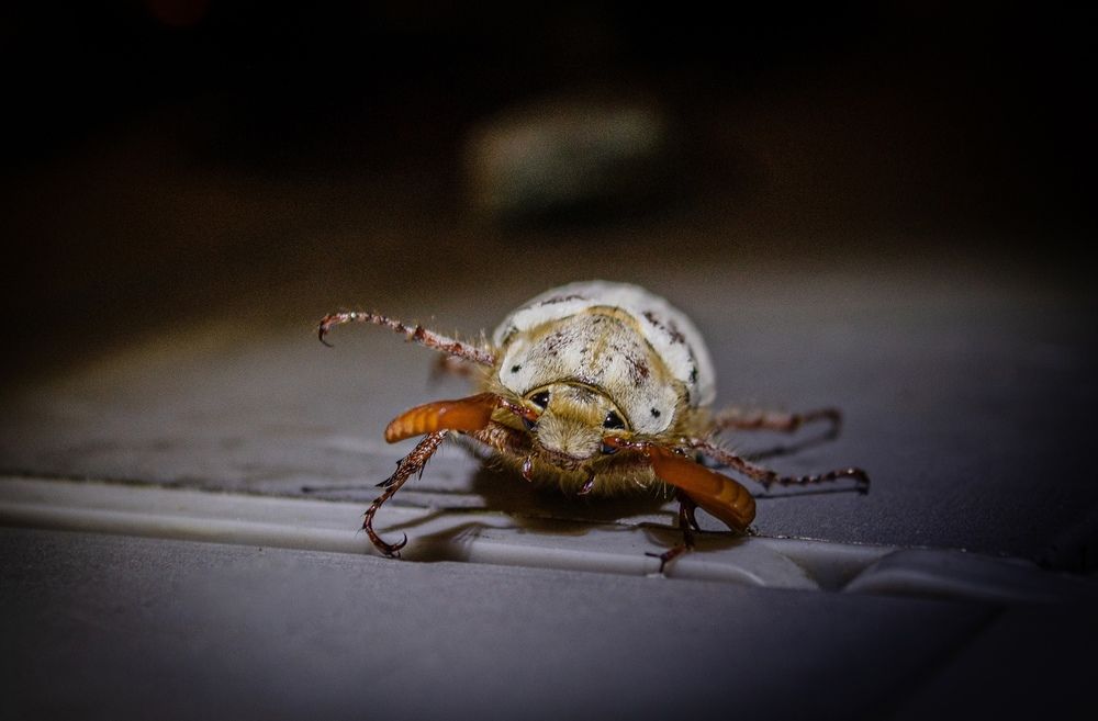 Photograph by Анна