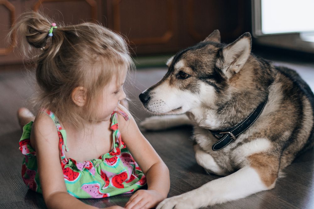 Photograph by Вера Блёх