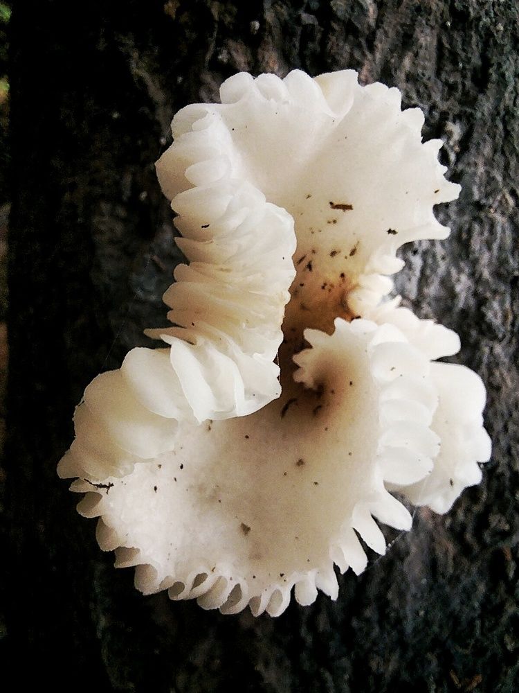 Photograph by Shamseer Shamsudheen