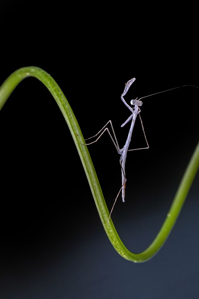 Фотография автора NeCoTi ChonTin