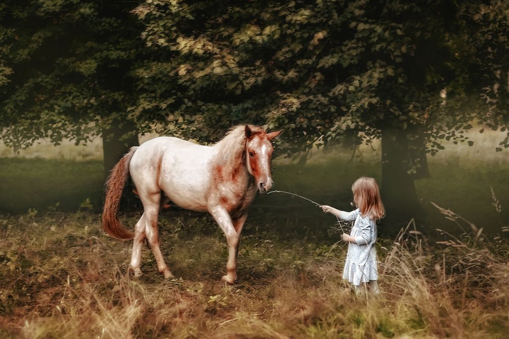 Photograph by Марина Шадрина