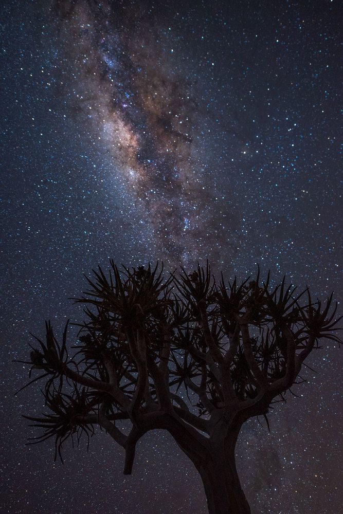 Photograph by Eduardo Fuster Salamero
