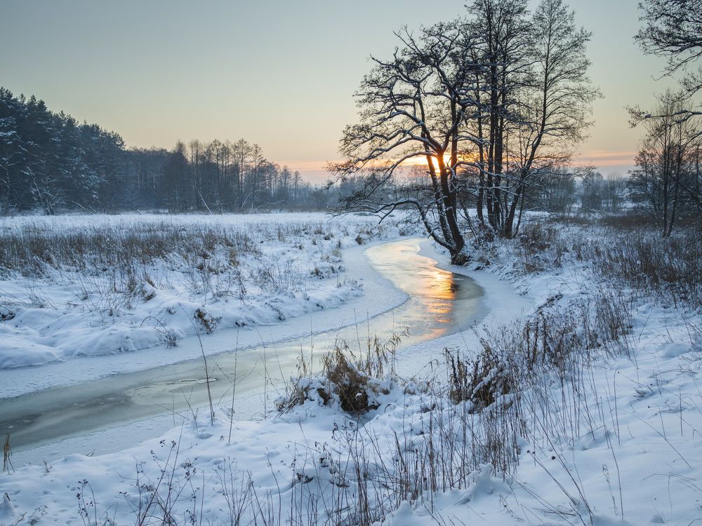 Photograph by Владимир Машко