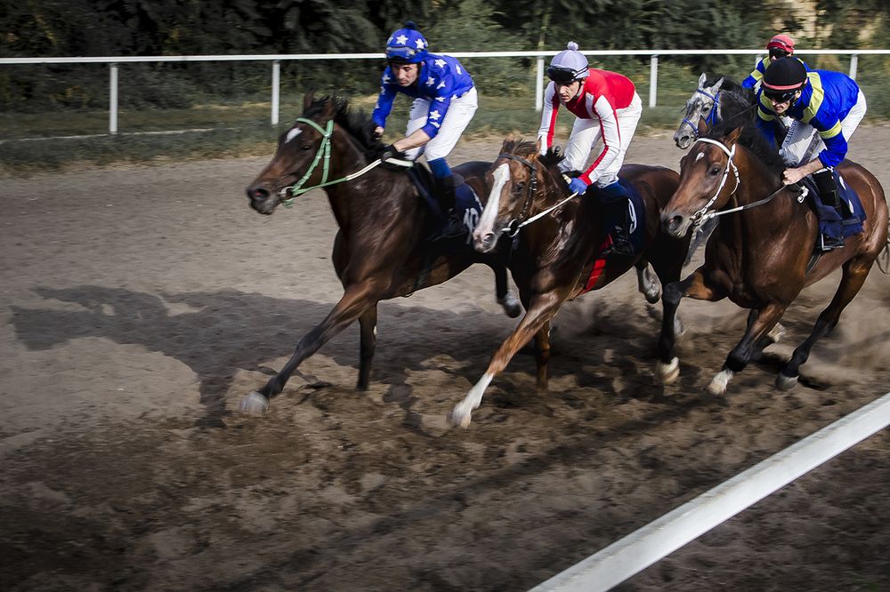 Photograph by Анна Шац