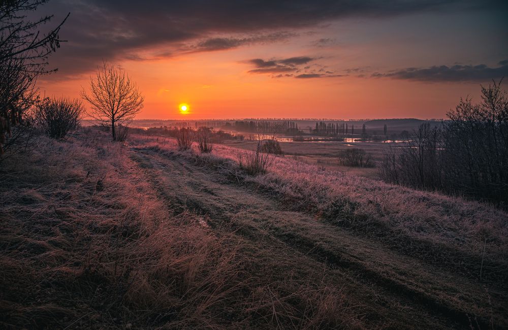 Photograph by Александр