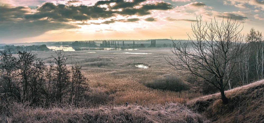 Photograph by Александр