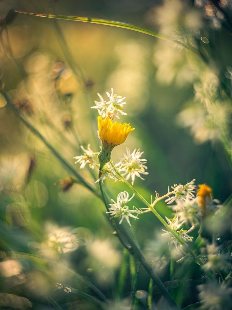 Photograph by Александр