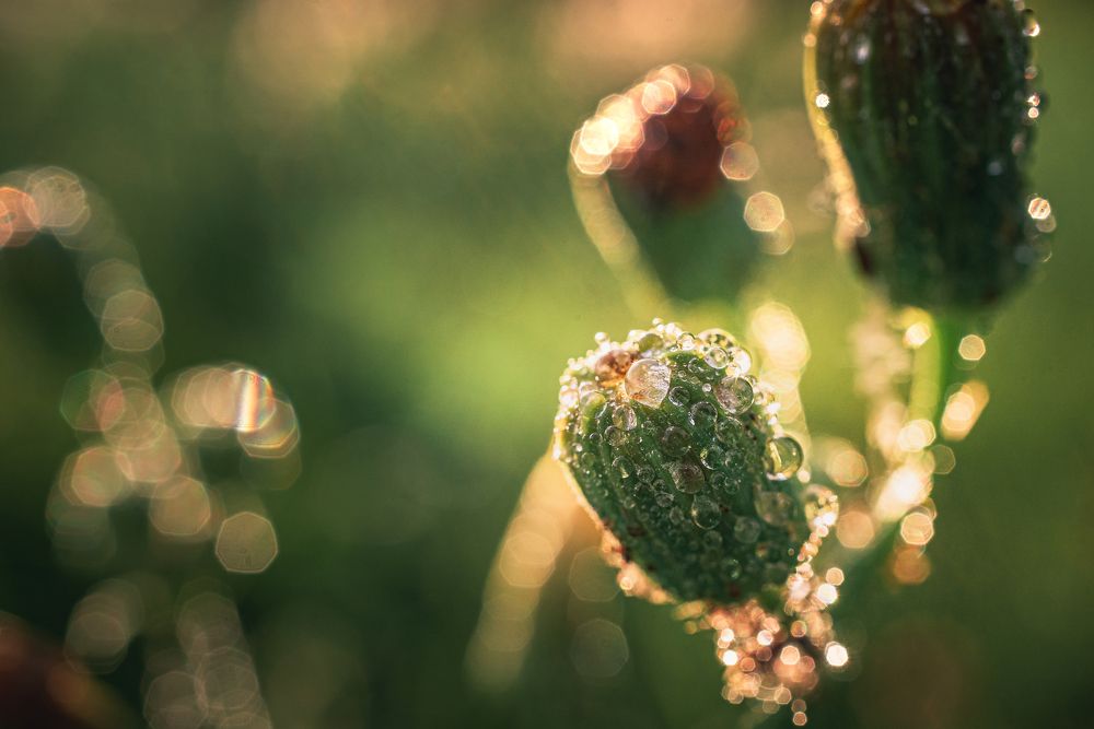 Photograph by Александр