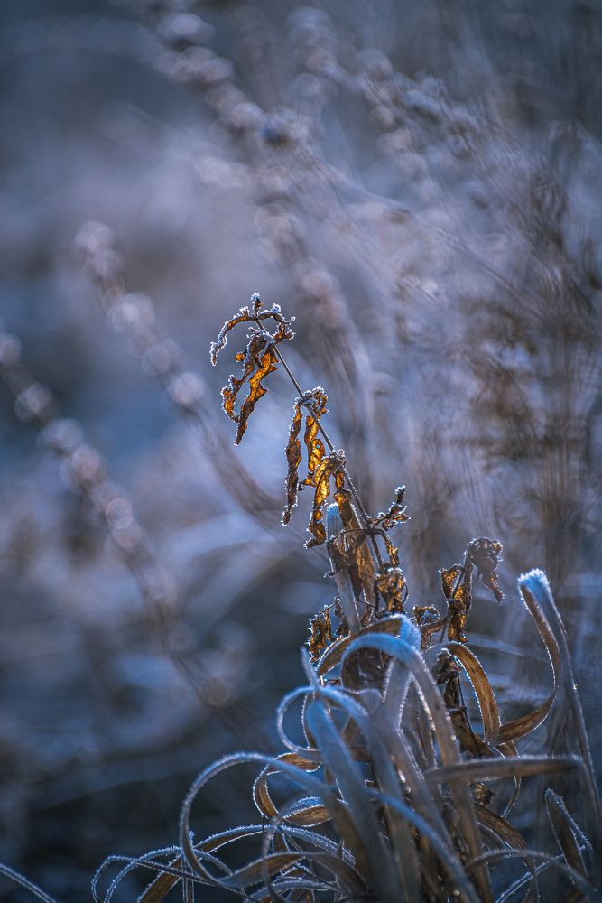 Photograph by Александр