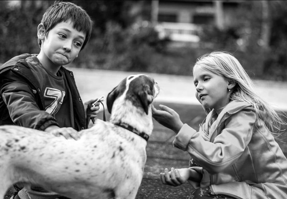 Photograph by Панферов Сергей