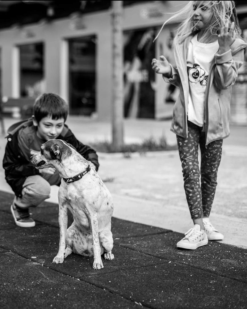 Photograph by Панферов Сергей