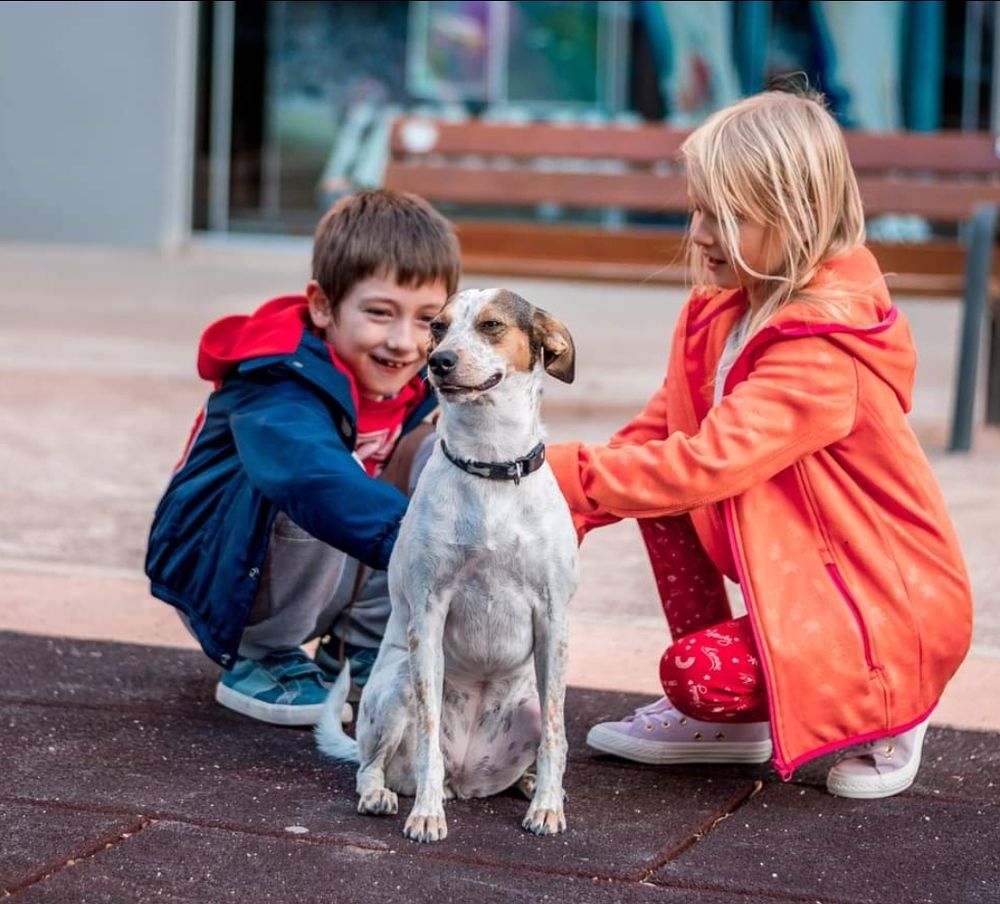 Photograph by Панферов Сергей