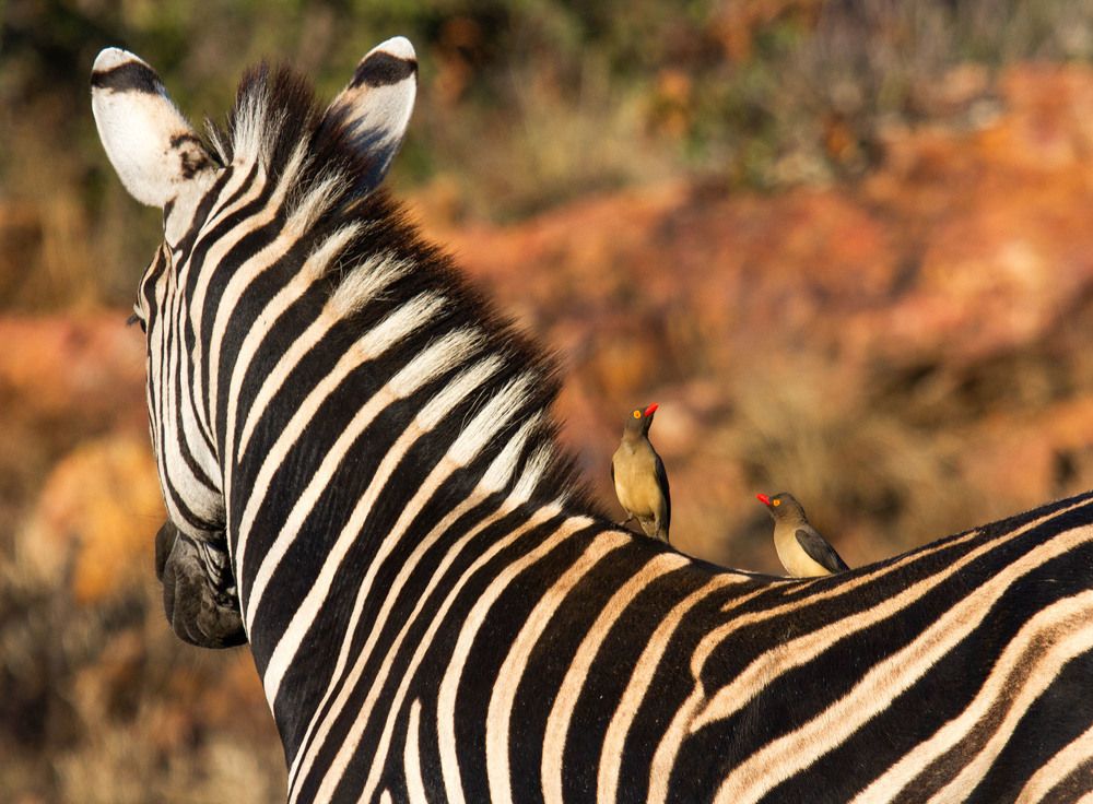 Photograph by Слащилина Нина