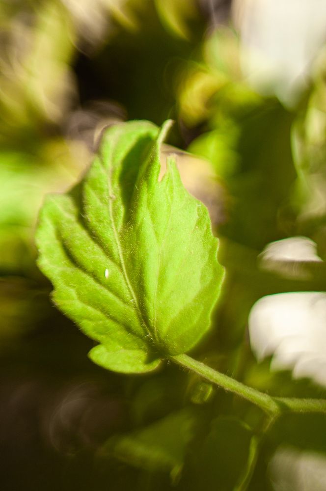 Photograph by Ольга Кудина