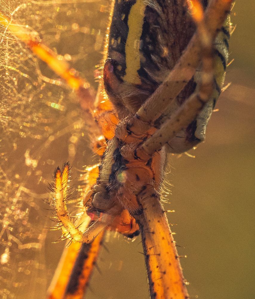 Photograph by Александр