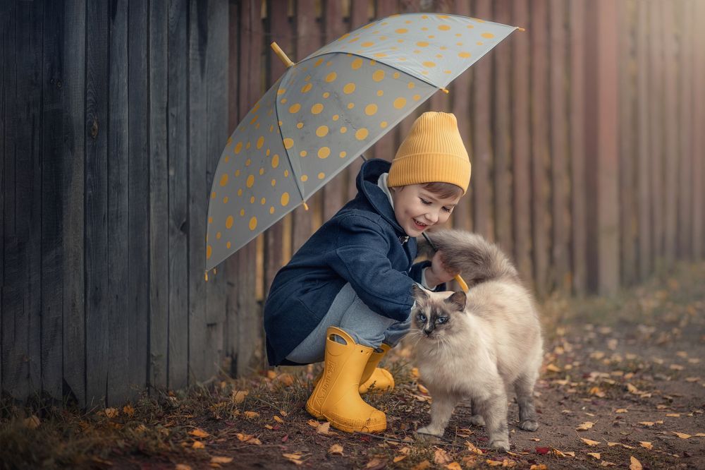 Фотография автора Анна Балабан