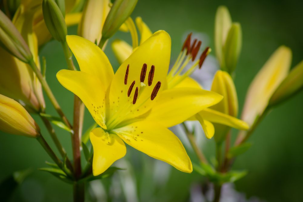 Photograph by Сергей Дергачев