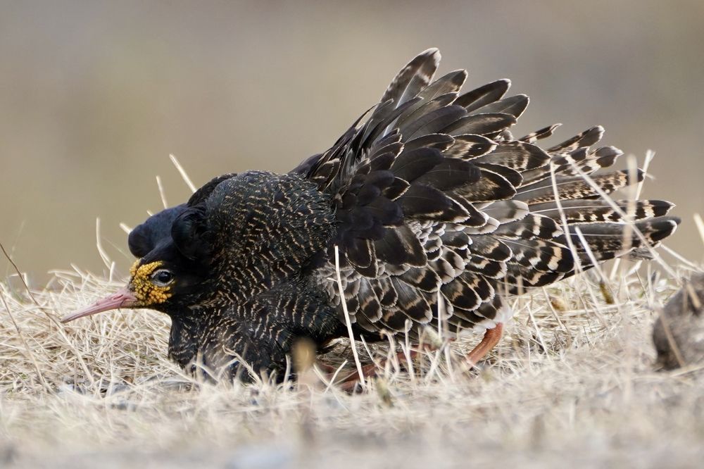 Фотография автора Виктория Ким