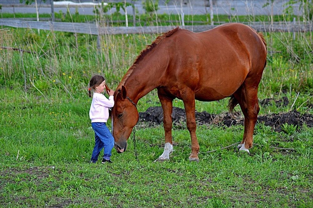 Photograph by Михаил Курзанцев