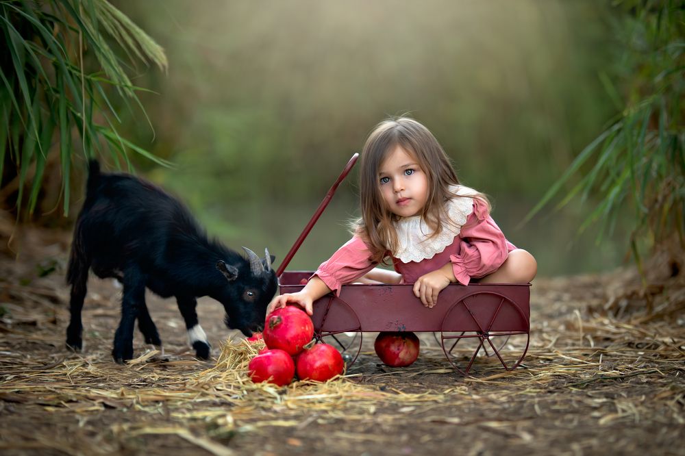 Фотография автора Osher Eden pashinsky