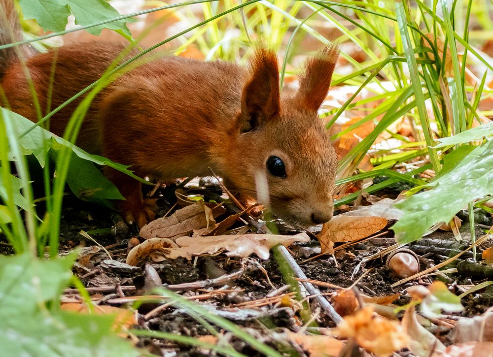 Photograph by Денис Калашников