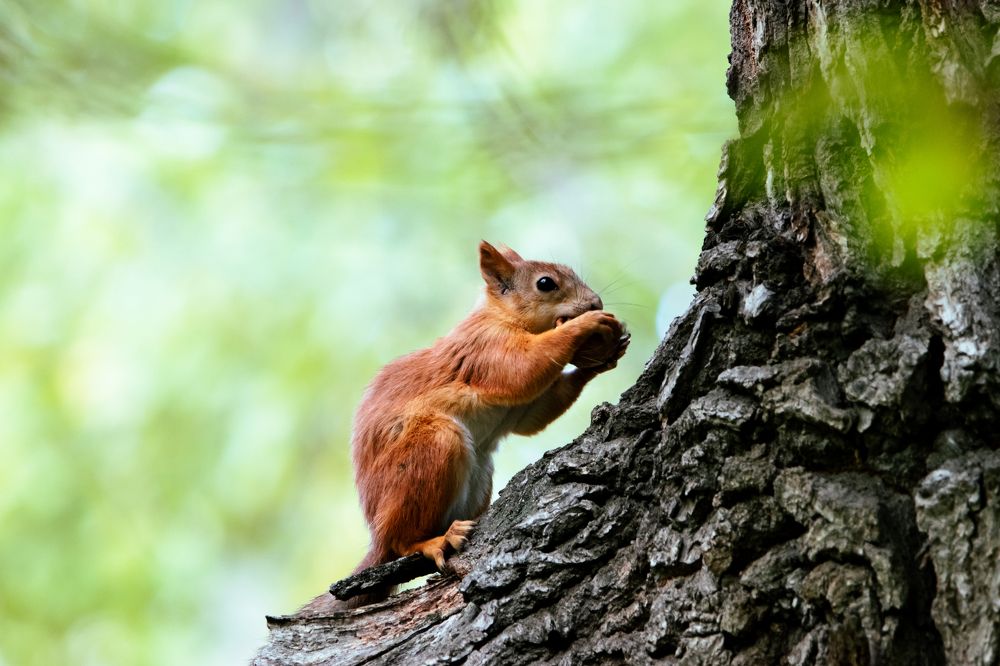 Photograph by Денис Калашников