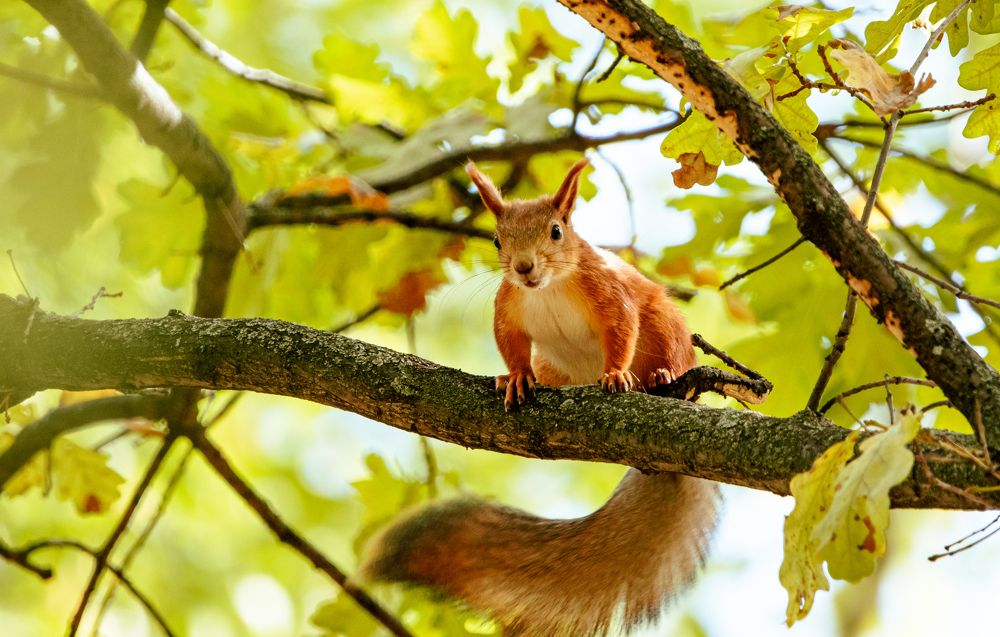 Photograph by Денис Калашников