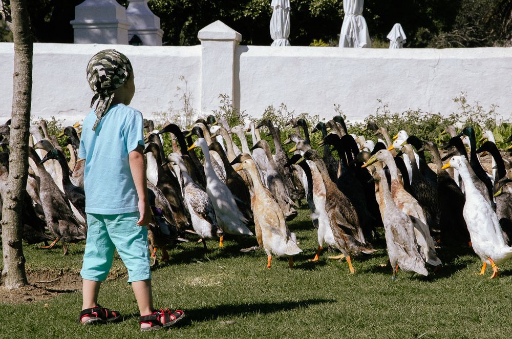 Photograph by Данил Луговой