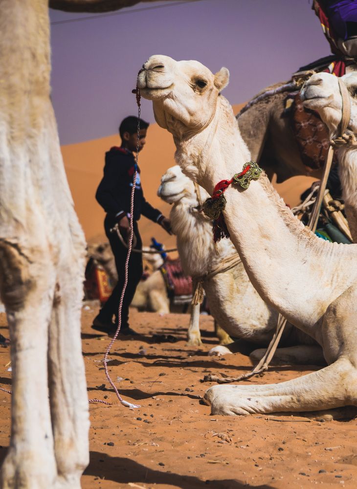 Photograph by Rachid Ayadi