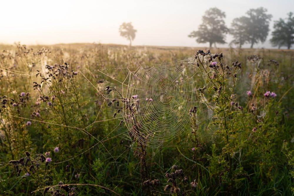 Photograph by Владимир Машко