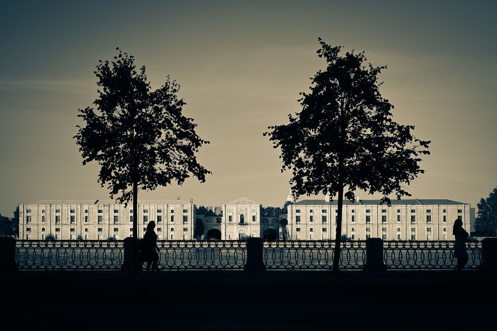 Фотография автора Larisa Meshkova