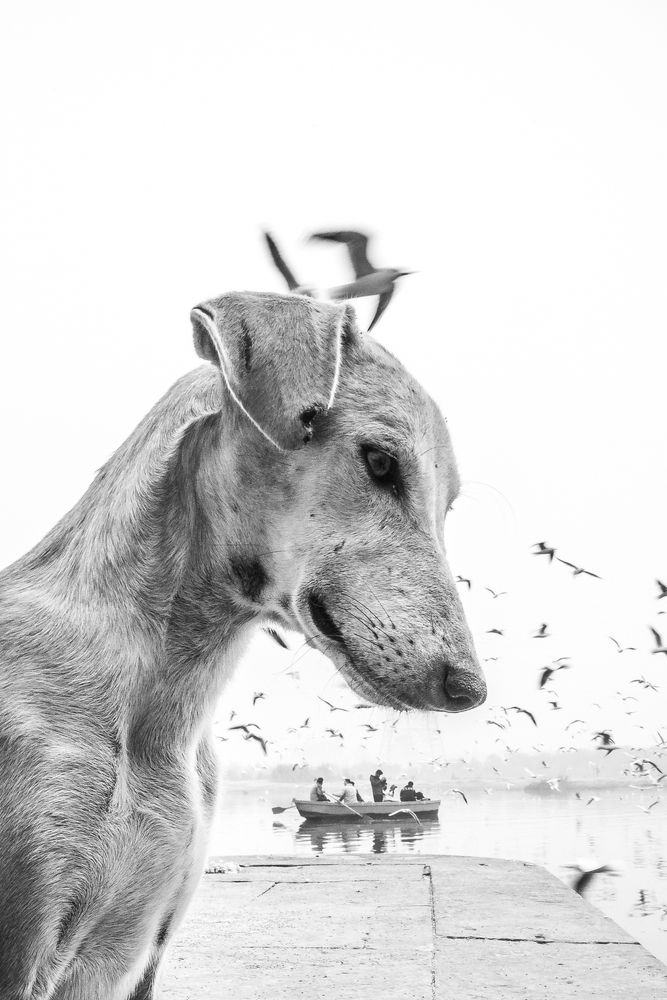 Photograph by Chetan Verma