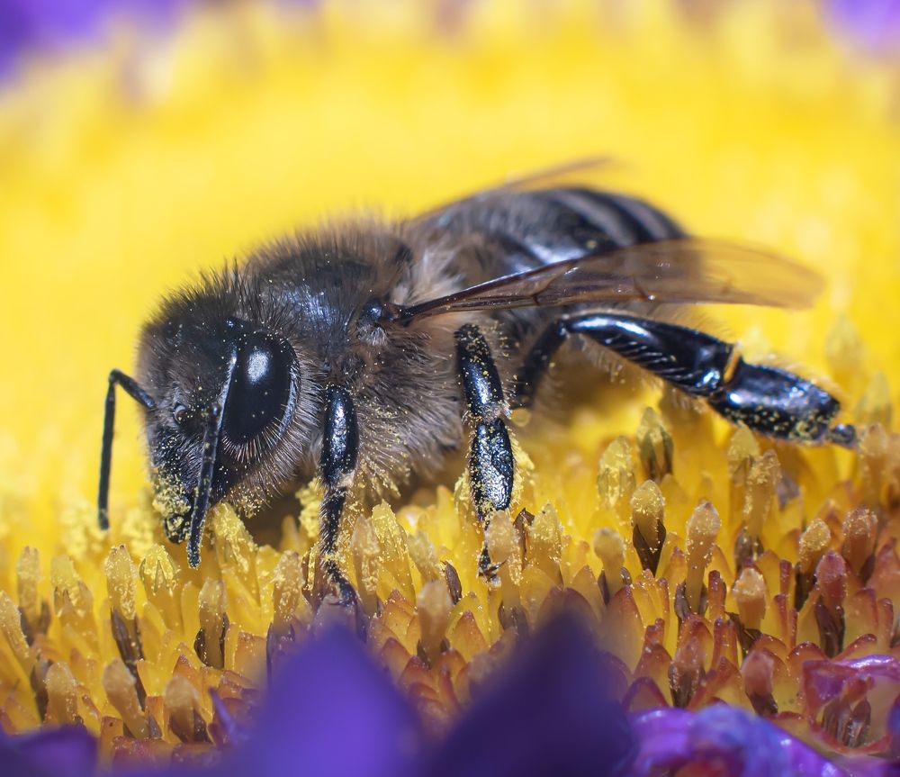 Photograph by Олег Зальвовский