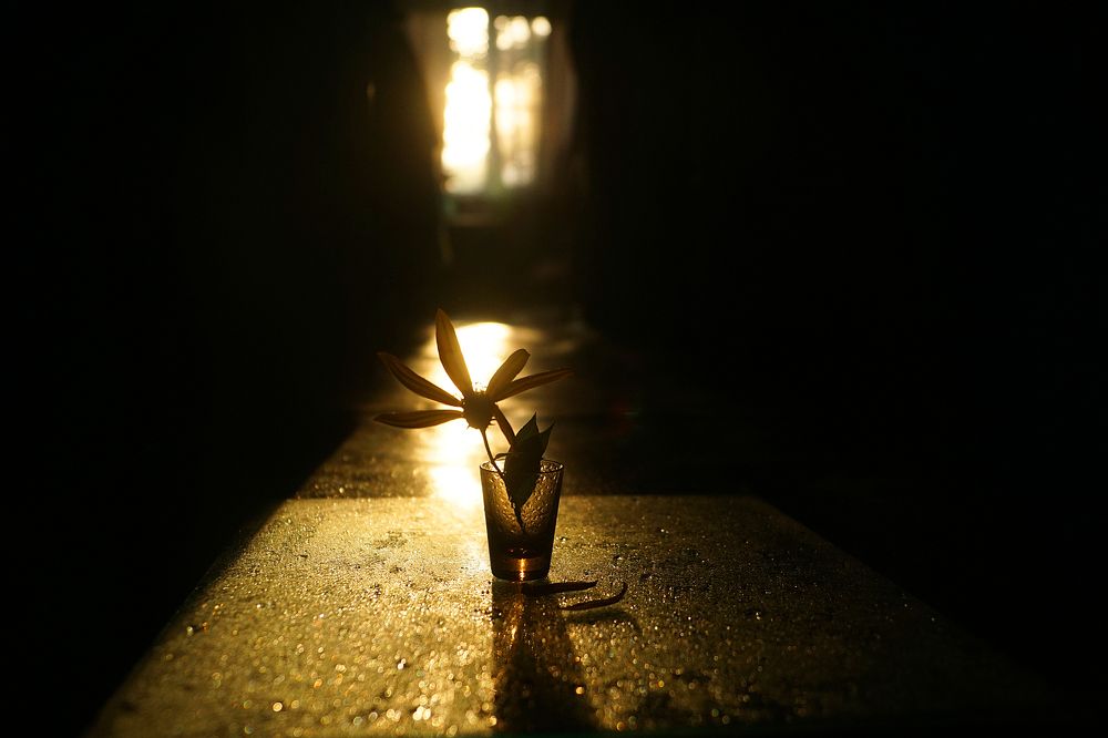 Photograph by Ольга Пуховникова