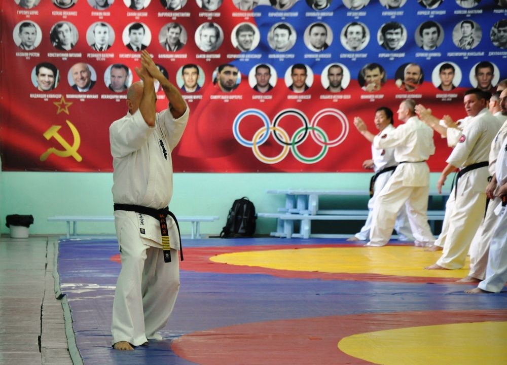 Ханси на семинаре