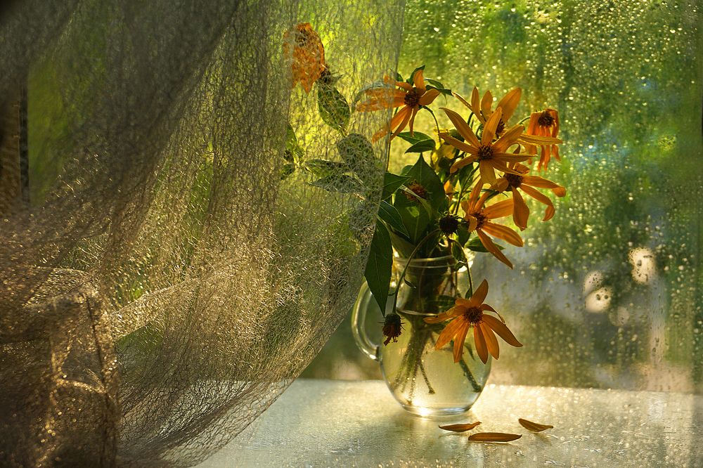 Солнечное утро.