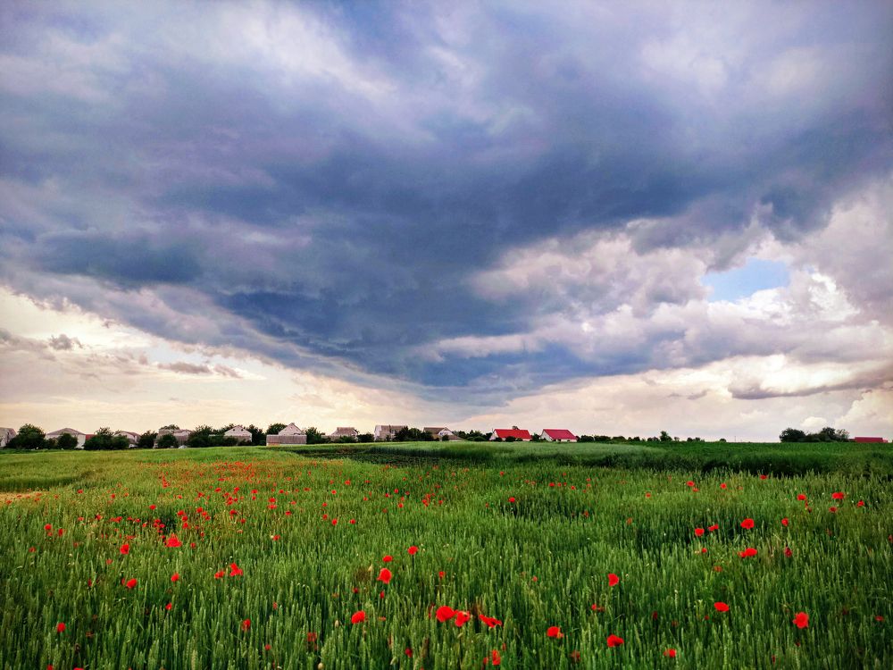 Before the storm